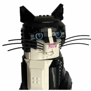 Kocie Wąsy do LEGO ideas 21349 – Idealne Uzupełnienie Twojego Kota - Czarne