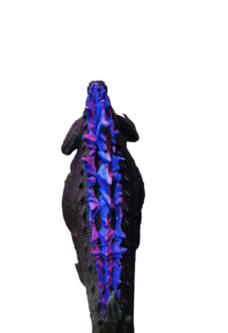 7d4618640250f4c26fbdf3b2fef8c932
