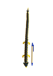 aafed695be5e54fab32adc8aac005669